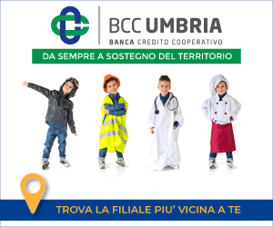 bcc-300x250_banner