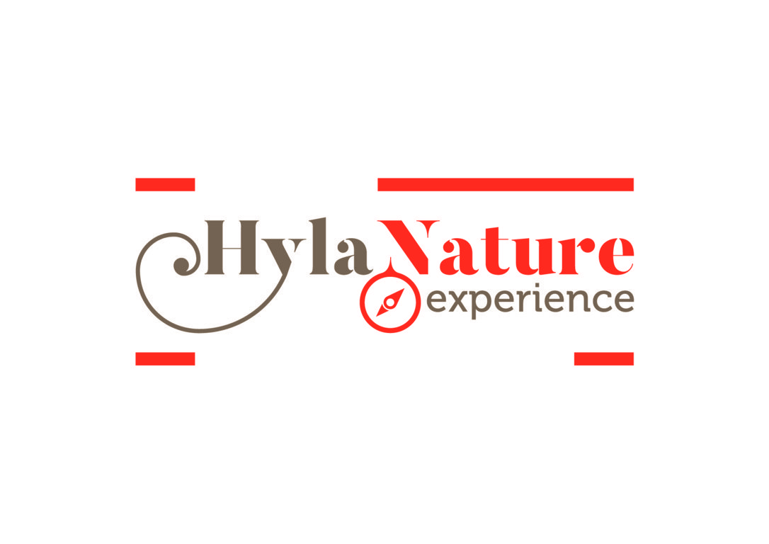 Hyla Nature Def Colore