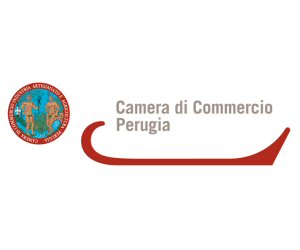 Camera Commercio PG 300x250